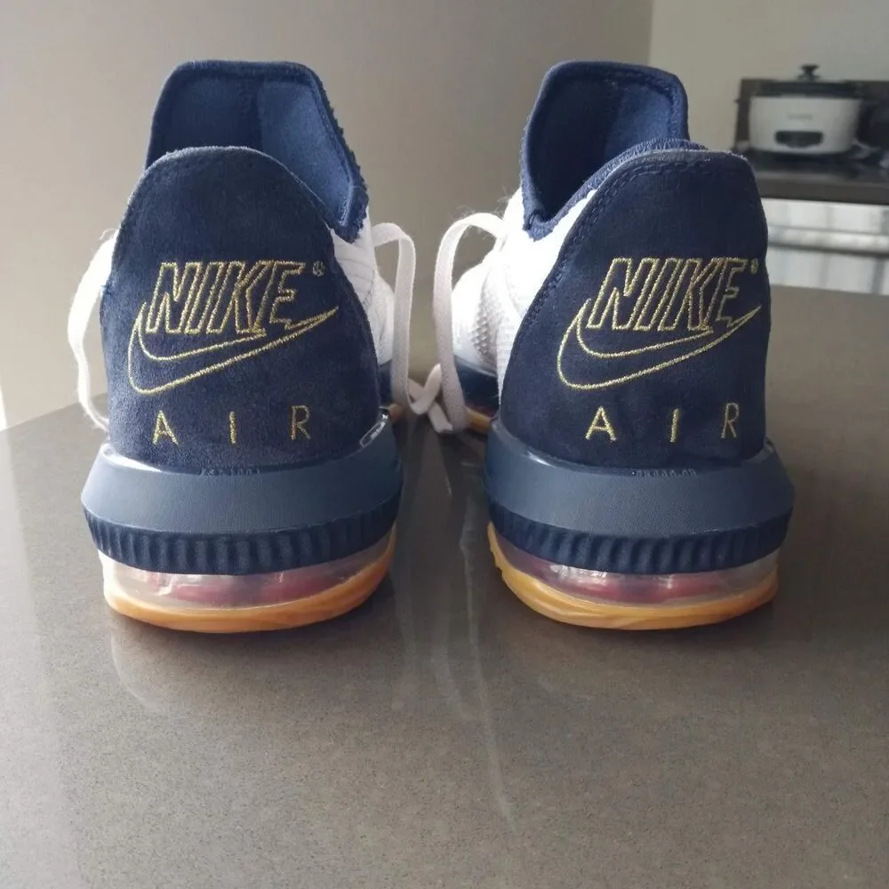 Nike LeBron 16 XVI Low ‘USA’ Men's Size 10.5